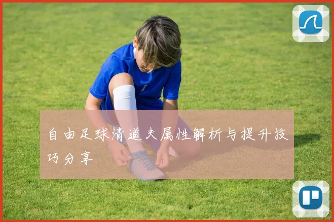 自由足球清道夫属性解析与提升技巧分享