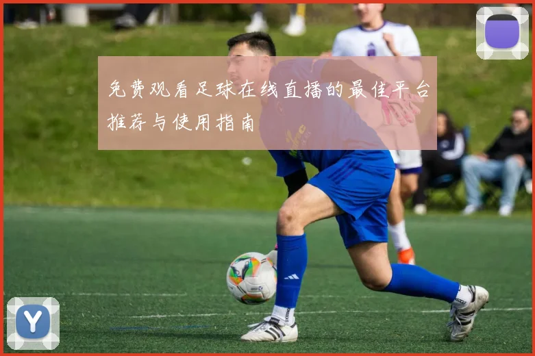 免费观看足球在线直播的最佳平台推荐与使用指南