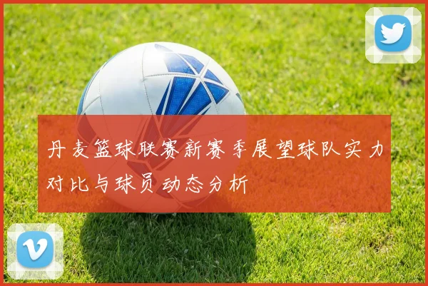 丹麦篮球联赛新赛季展望球队实力对比与球员动态分析