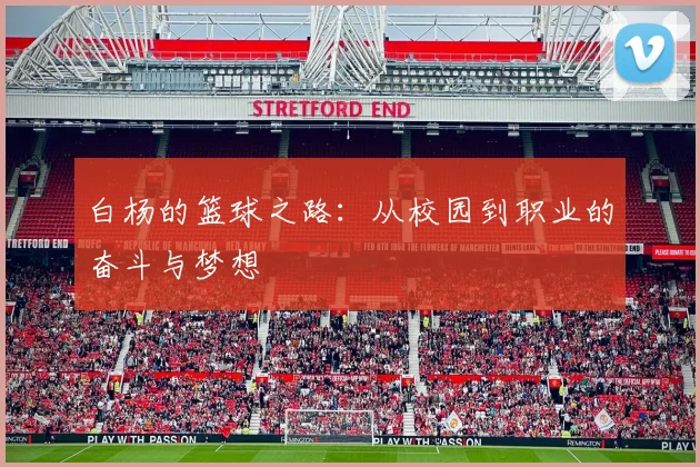 白杨的篮球之路：从校园到职业的奋斗与梦想