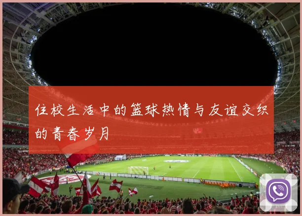住校生活中的篮球热情与友谊交织的青春岁月